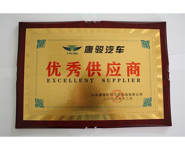 唐俊汽車(chē)-優(yōu)秀供應(yīng)商 (2)