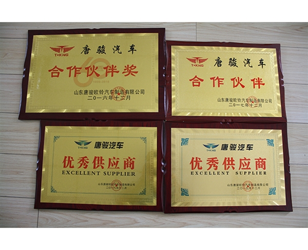 唐俊汽車(chē)獎(jiǎng)牌